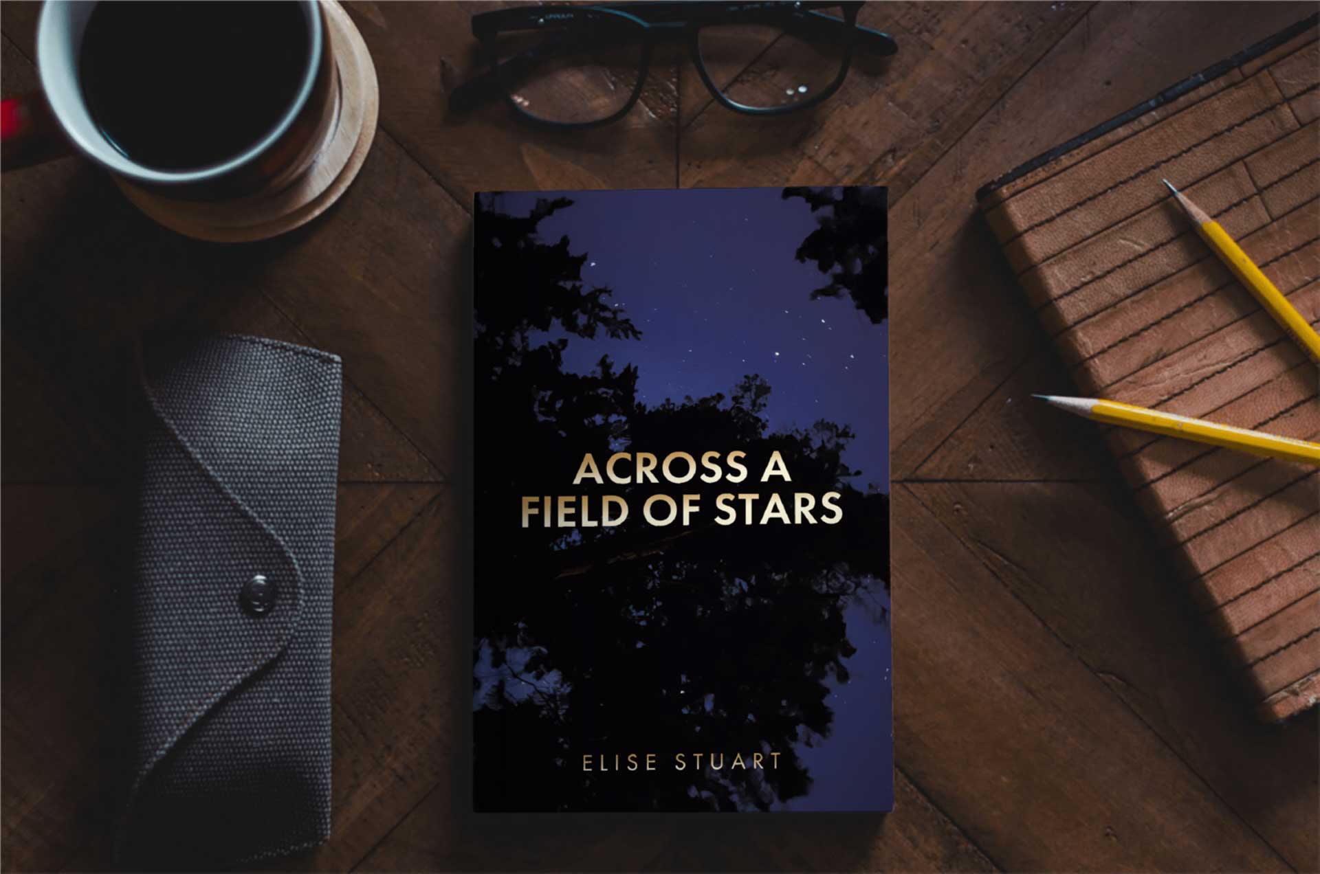 across a field of stars poetry book by new mexico based author elise stuart